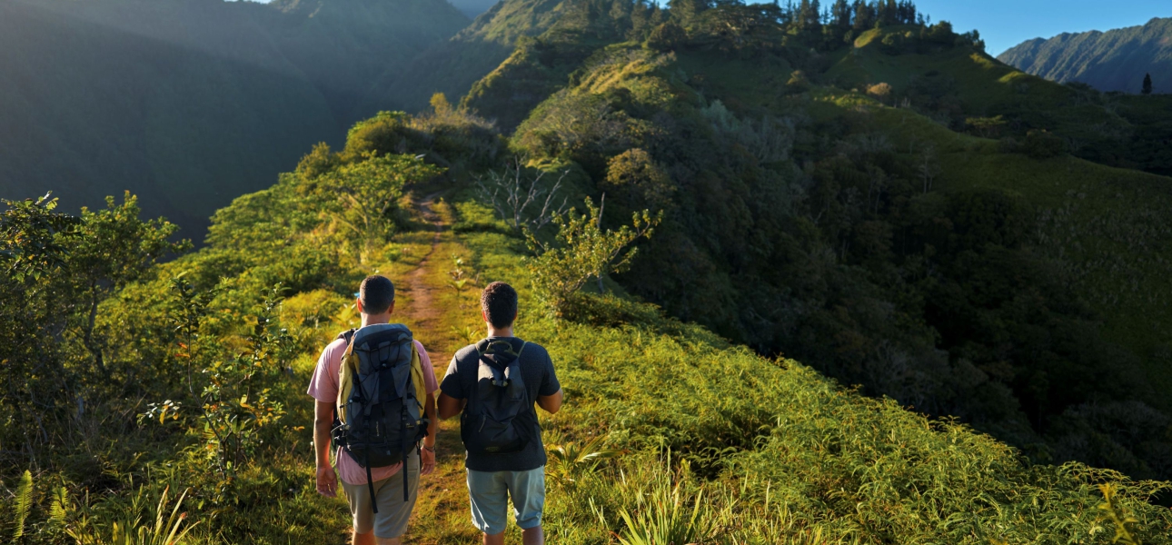 Tahiti abseits der Strände: Geheimnisvolle Wanderpfade und Panoramablicke im grünen Herzen der Insel 